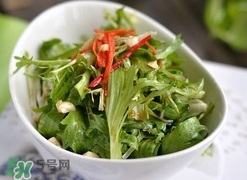 苦菊苦嗎？苦菊苦不苦