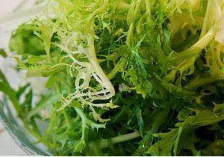 吃苦苣有什么好處？吃苦苣菜有什么好處