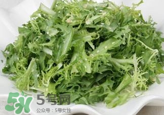苦菊吃多了好嗎？苦菊吃多了好不