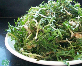婆婆丁怎么吃？婆婆丁怎么吃最好？