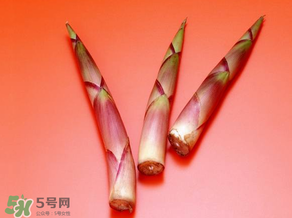 竹筍什么人不能吃？哪些人不適合吃竹筍？