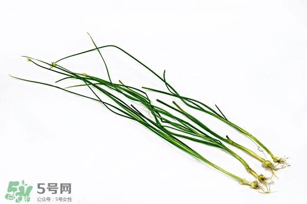小根蒜的根能吃嗎？小根蒜的須子可以吃嗎
