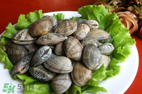 花甲不開口怎么辦？怎么讓花甲開口？