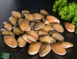 花甲為什么會(huì)苦？花甲有苦味什么原因？