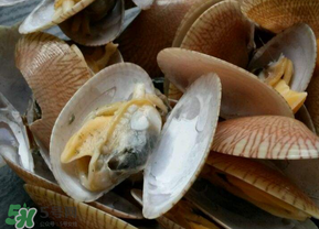 花甲怎么洗才沒沙？花甲怎么洗才干凈？