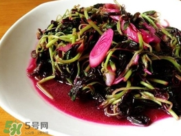 莧菜怎么摘？莧菜怎么處理