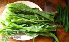 萵苣葉是什么？生菜是不是萵苣葉子