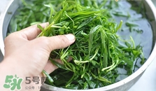 掃帚菜怎么做好吃？掃帚菜怎么吃好吃