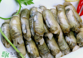 蟶子不能和什么一起吃？蟶子和什么不能一起吃？