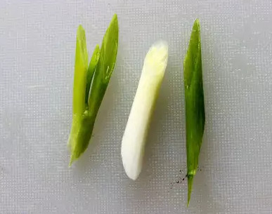 蒜苗怎么切？蒜苗如何切