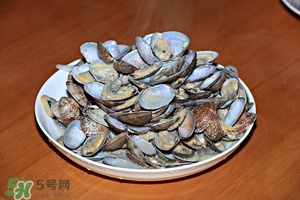 芒果螺怎么清洗？芒果螺怎么吃