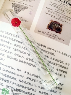 kenzo香水一枝花多少錢？kenzo一枝花香水怎么樣價格
