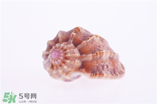 海螺的尾部能吃嗎？海螺的尾巴可以吃嗎