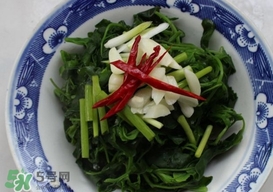 灰灰菜有什么功效？灰灰菜有什么營養(yǎng)價值
