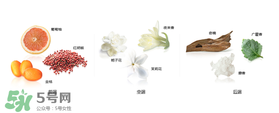 郎朗香水是什么牌子？郎朗香水是什么檔次？