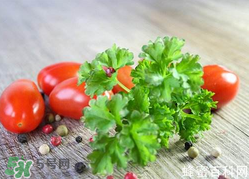 四月份可以種香菜嗎？四月份還能種香萊嗎？