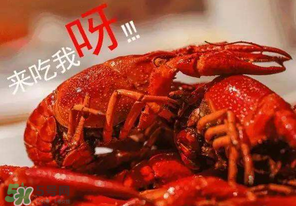 煮熟的小龍蝦隔夜能吃嗎？煮熟的小龍蝦能放多久？