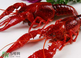龍蝦發(fā)苦怎么回事？龍蝦發(fā)苦能吃嗎？
