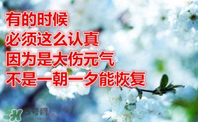 九毒日是哪幾天？2017年九毒日是哪幾天？