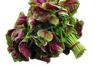 野莧菜能吃嗎？野莧菜圖片