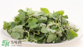 灰灰菜能吃嗎？灰灰菜怎么做菜才好吃
