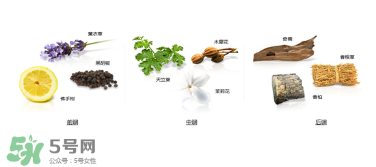 郎朗香水是什么牌子？郎朗香水是什么檔次？