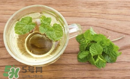 薄荷葉能生吃嗎？薄荷葉可以生吃嗎