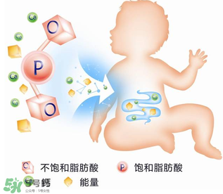 kabrita佳貝艾特羊奶粉怎么樣？kabrita佳貝艾特羊奶粉好不好？