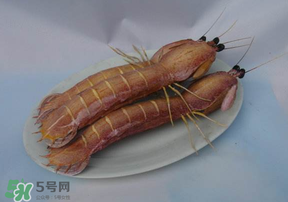 皮皮蝦死了還能吃嗎？皮皮蝦死了多久還能吃？