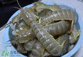 皮皮蝦死的怎么清洗？死的皮皮蝦怎么清洗？