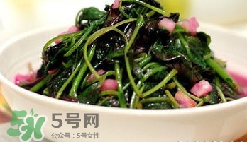 莧菜怎么洗？莧菜怎么擇
