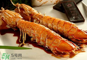 蝦爬子不能和什么一起吃？吃完蝦爬子不能吃什么？