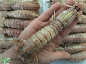 蝦爬子是蒸還是煮？蝦爬子蒸好還是煮好？