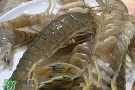皮皮蝦可以放冰箱嗎？皮皮蝦能放冰箱保存嗎？