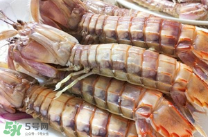 皮皮蝦黃能吃嗎？皮皮蝦黃的營養(yǎng)價(jià)值