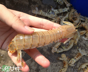 ?皮皮蝦發(fā)綠能吃嗎？?皮皮蝦變綠了還能吃嗎？