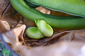 蠶豆可以放冰箱嗎？新鮮蠶豆可以放冰箱嗎？