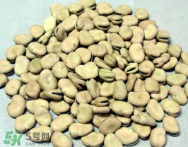 蠶豆長蟲還能吃嗎？蠶豆怎么保存不長蟲？