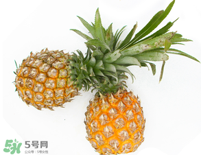 皮皮蝦和菠蘿能一起吃嗎？吃完皮皮蝦能吃菠蘿嗎？