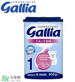 gallia佳利雅奶粉怎么沖？gallia佳利雅奶粉沖調(diào)方法？