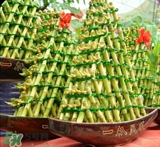 富貴竹有幾個(gè)品種？富貴竹有種子嗎？
