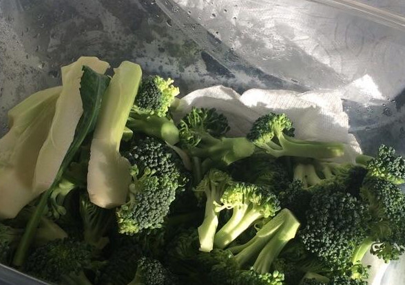 西蘭花如何保存？西蘭花怎么保存不變黃