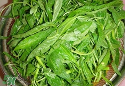 莧菜怎么吃？莧菜怎么炒