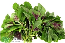 莧菜與什么相克？莧菜與什么食物相克
