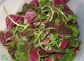 莧菜怎么洗？莧菜怎么擇