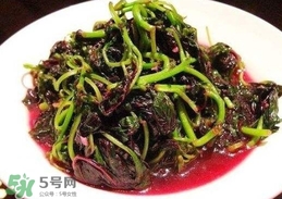 汗菜是發(fā)物嗎？汗菜是不是發(fā)物嗎
