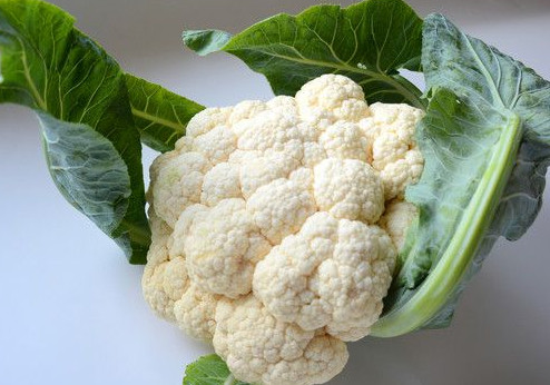 西蘭花是花菜嗎？西蘭花是菜花嗎