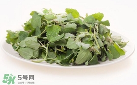 胃酸過(guò)多吃灰灰菜有好處嗎？胃酸過(guò)多能吃灰灰菜嗎