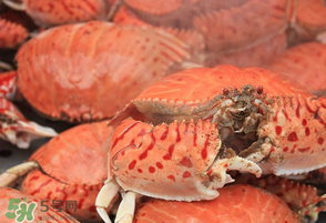 皮皮蝦和螃蟹能一起蒸嗎？皮皮蝦和螃蟹要蒸多久？