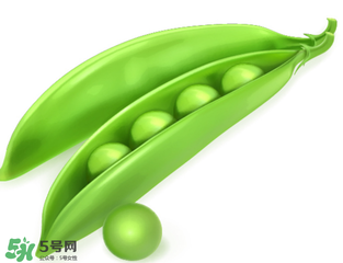 荷蘭豆能生吃嗎？荷蘭豆生的可以吃嗎？